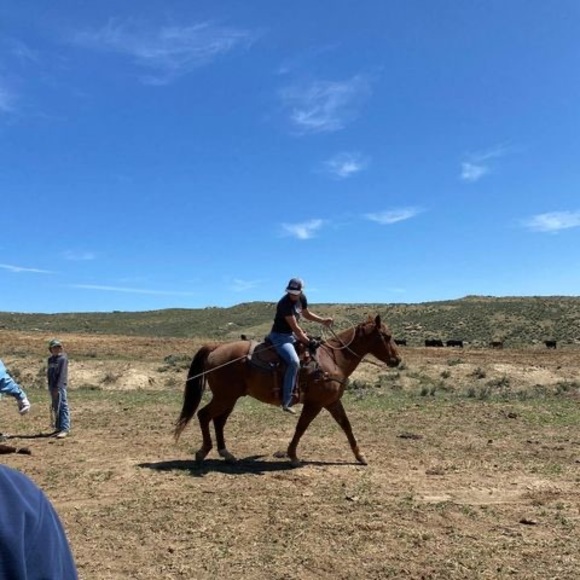 Meet your Posher, Baylee - Picture 1 of 1